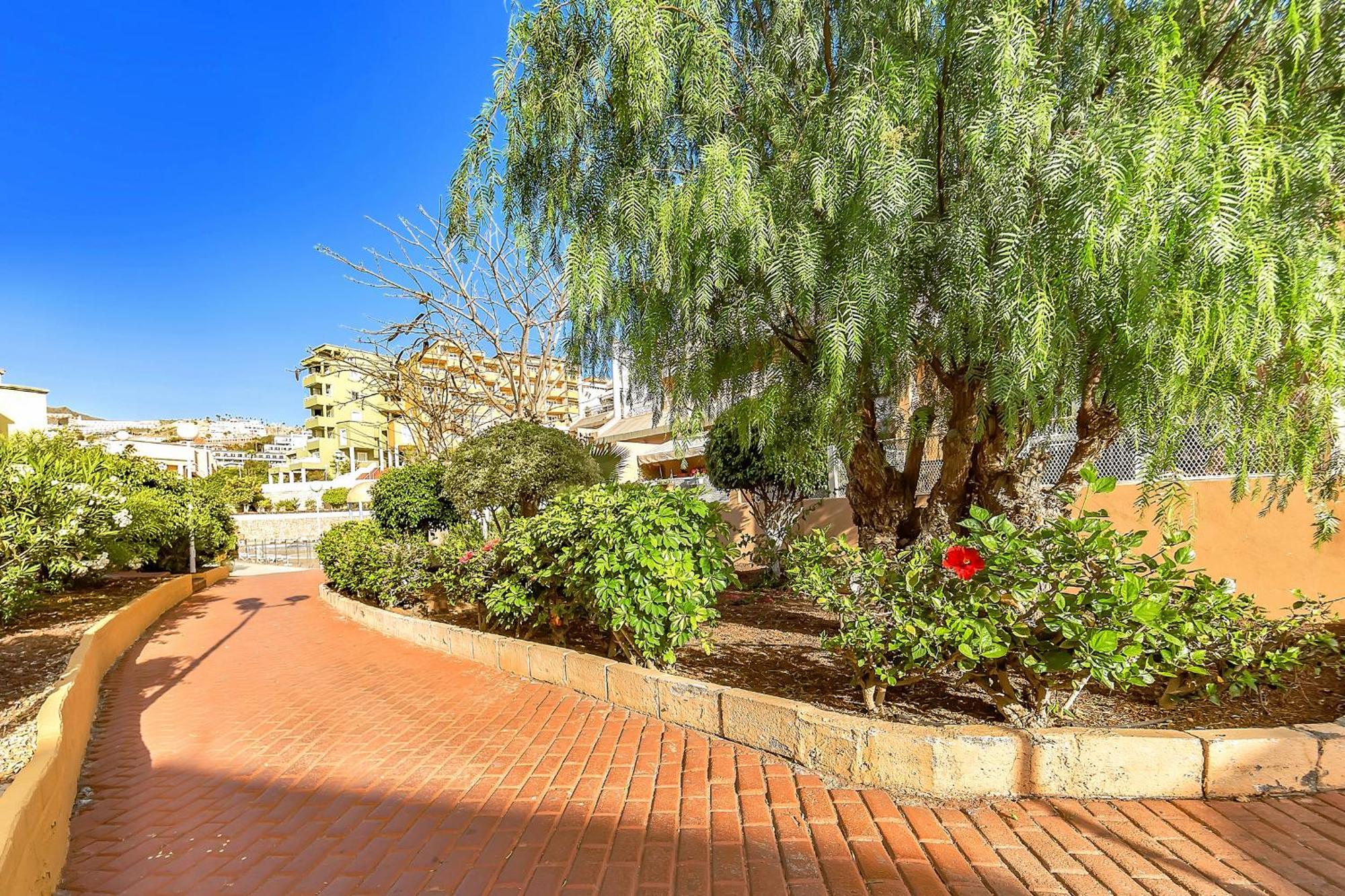 Tenerifeopenhome Ocean View Costa Adeje 外观 照片